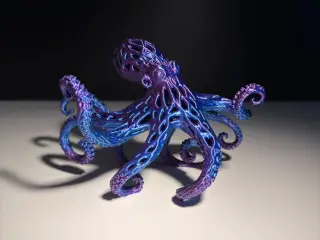 Octopus