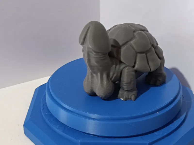 NSFW Dicky_Turtle