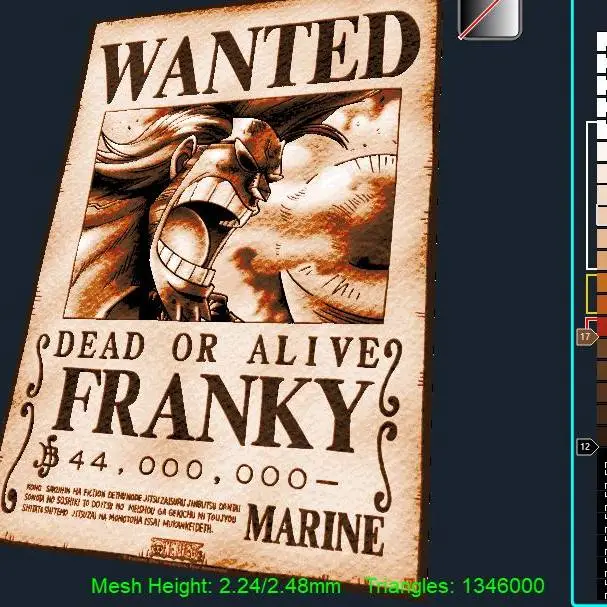 Wanted Franky One Piece