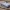 Jagdpanther tank