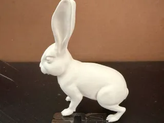 Jack Rabbit 01