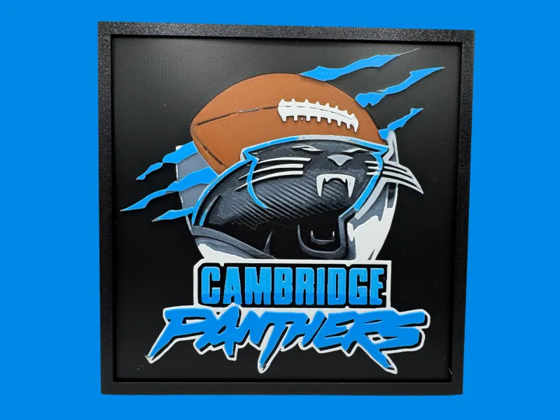 Panteras de Cambridge