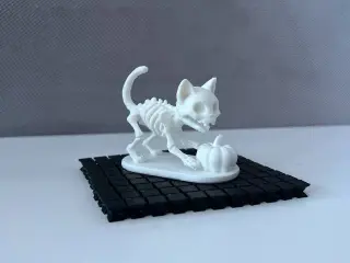Skeleton Cat with Pumpkin