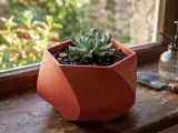 Planter-0