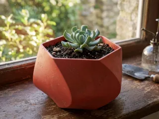 Flower planter