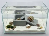 Hermit Crab Water Pool-0