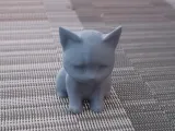 Cute Cat-0
