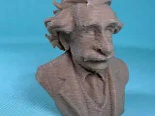 Einstein-Detailed Bust