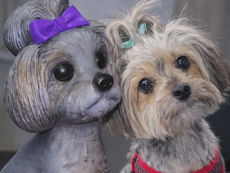 Cricket Life size Shitzu Puppy Dog Statue