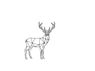 Deer / Stag