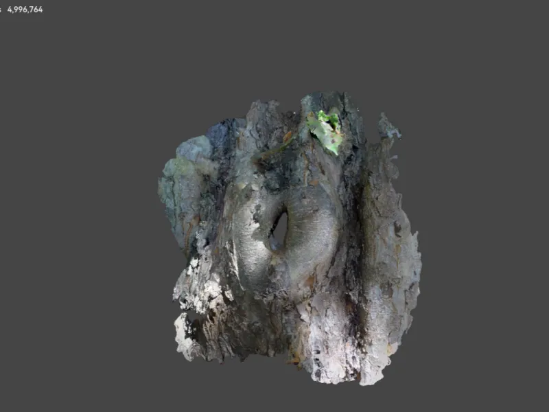 Tree Knot scanned with a Pika