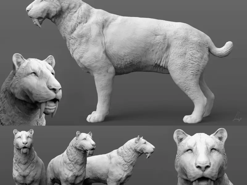 Smilodon populator, Saber-Toothed Tiger (alert)