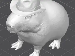 Capibara Jones