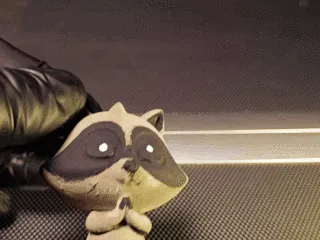 mapachito