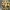 Espositore per minifigure Lego