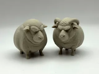 Grumpy Sheep Duo