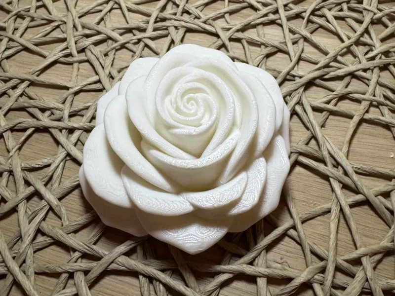 C_Spiralrose