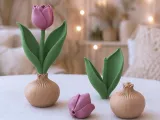 Tulip Bulb Decor | Spring Flower Display-0