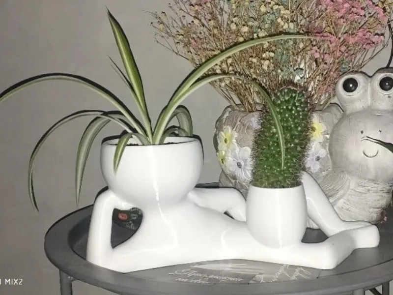 ВАЗОН , КАШПО Cat - ON CHILLING / КОТ - НА РАССЛАБОНЕ
