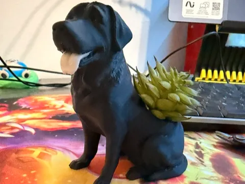 Labrador- Flower Planter 2.0- The Roxxie