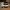 Tata Nexon Car 3D Model