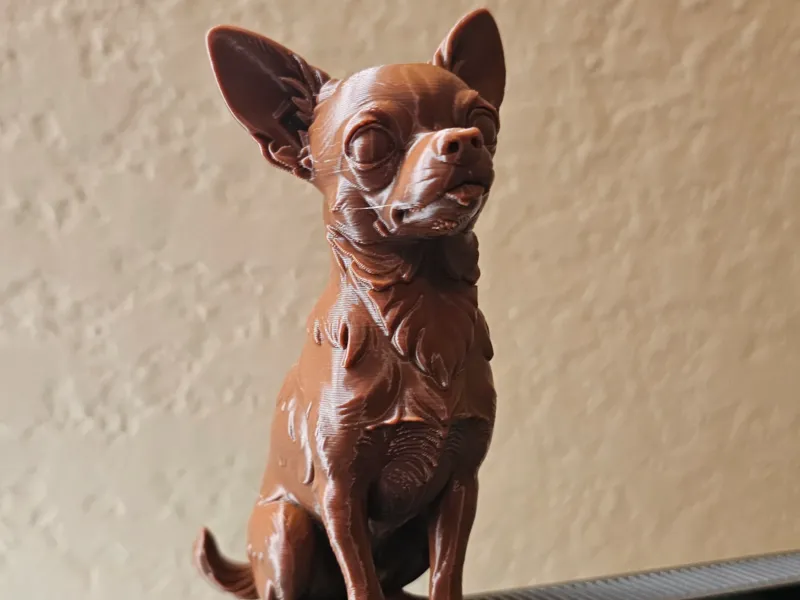 Chihuahua