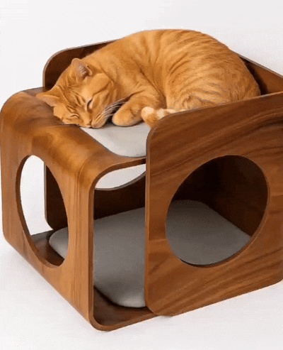 Cub Cat