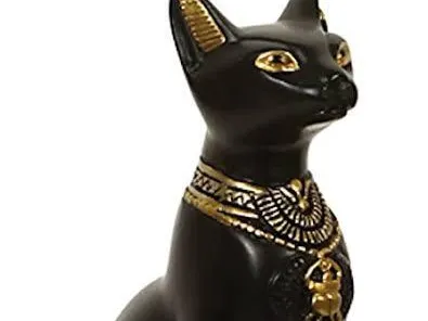 gatto egiziano