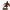 Dahomey_14