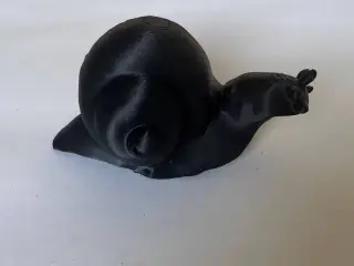 Schnecke
