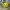 CryFace Emoji, Desktop Buddy