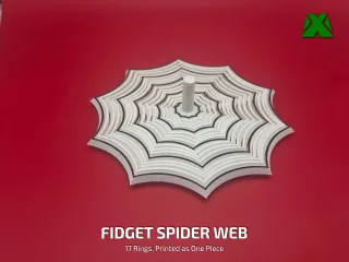Fidget Spider Web