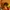 Thanksgiving cornucopia low poly