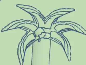 palm tree coaster