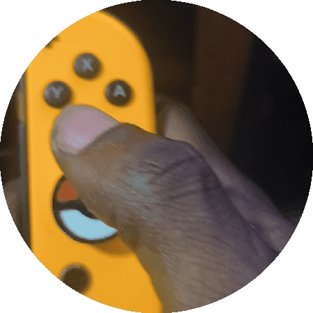 JoyCon PokéCap V1