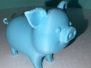 pig