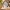 Ebook, Tablet, Phone Support - 🐺 Sleeping Cat