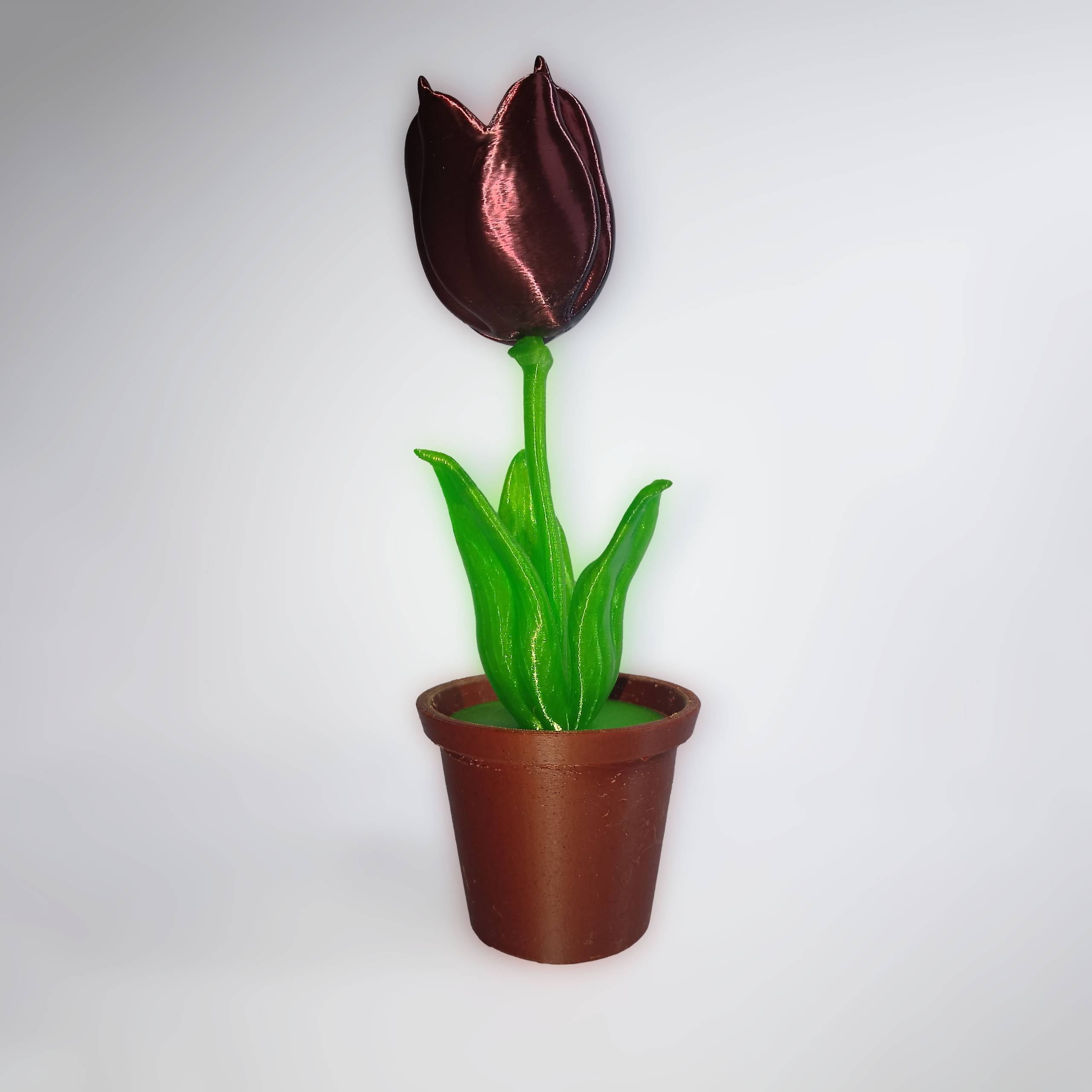 3d Printer Files 3mf File Tulip In A Pot Creality Cloud