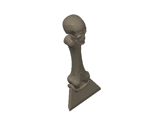 Bone scrapper