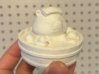 Capybara in the bathtub 