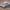 Avenger (tank)