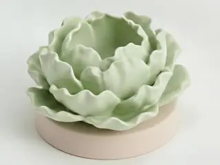 maceta de forma de lechuga