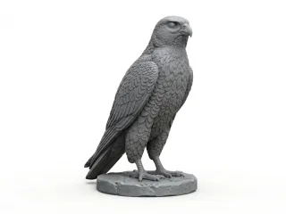 Peregrine falcon