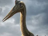 Quetzal-0