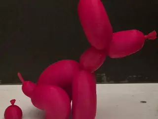 Ballon Dog Pooping