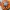 SLEUTELHANGER GRAND THEFT AUTO VI