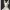 Bol_Renne_Noeud_Papillon