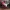 NFL - Tampa bay Buccaneers Baker Mayfield display