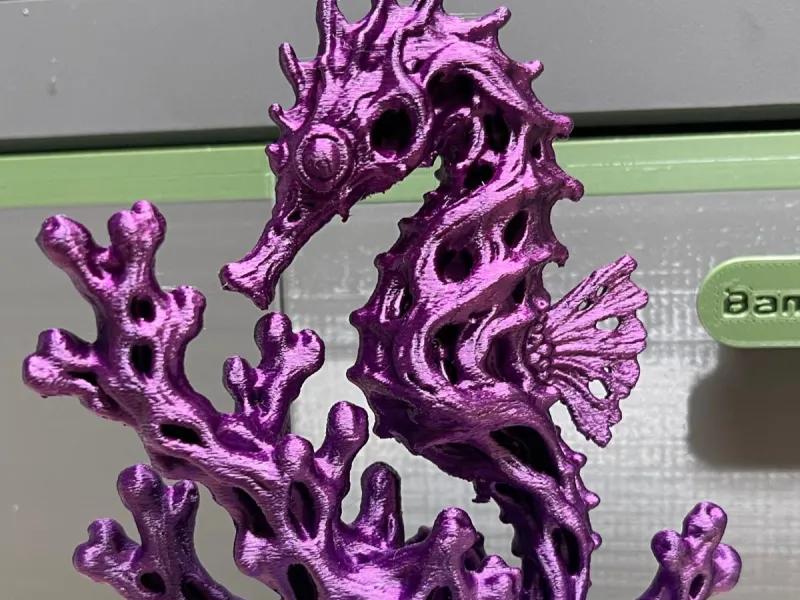 タツノオトシゴ