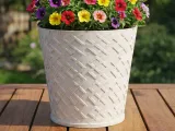 FLOWER POT-0